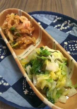 １日で食べられる簡単おいしい白菜の漬け物-レシピのメイン写真