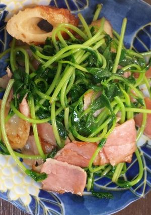 豆苗！息子も大好き！簡単炒め-レシピのメイン写真