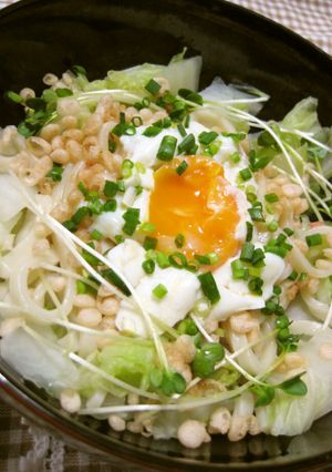 冷凍うどんで✿白菜入りぶっかけ(温)-レシピのメイン写真