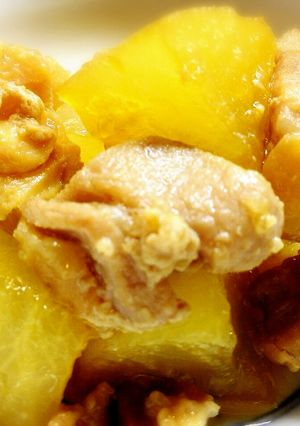 塩麹でお肉がほろり♪鶏肉と大根の煮物-レシピのメイン写真