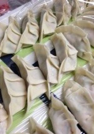 大家族の野菜たっぷり餃子-レシピのメイン写真