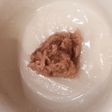 お餅にツナ缶と大根おろしで癖になるうまさ