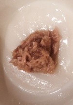 お餅にツナ缶と大根おろしで癖になるうまさ-レシピのメイン写真