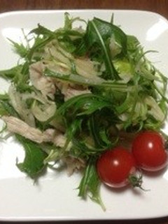 豚肉と水菜のおかずサラダ♪-レシピのメイン写真