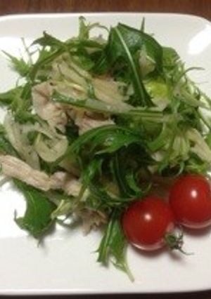 豚肉と水菜のおかずサラダ♪-レシピのメイン写真