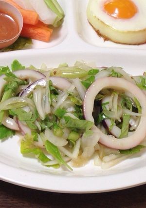 和えるだけ♪イカのマリネサラダ-レシピのメイン写真