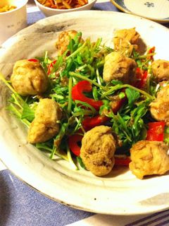 大豆たんぱくの唐揚げ-レシピのメイン写真