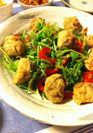 大豆たんぱくの唐揚げ-レシピのメイン写真