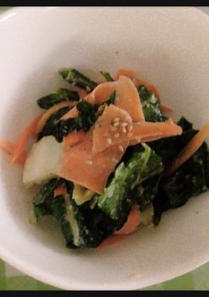 菊菜と白菜・にんじんのサラダ-レシピのメイン写真