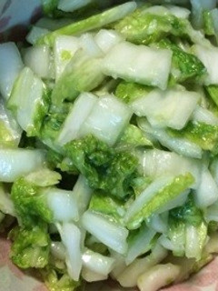白菜の塩麹和え-レシピのメイン写真