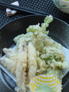 わかさぎと山菜の天ぷら-レシピのメイン写真