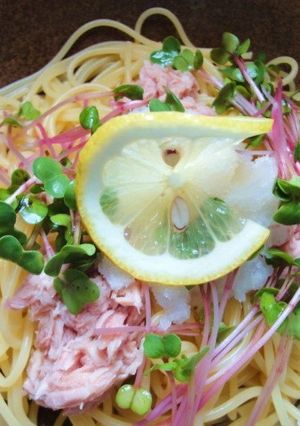 ツナとおろしのさっぱりパスタ-レシピのメイン写真
