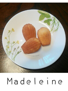 本格マドレーヌ。ハチミツ風味-レシピのメイン写真