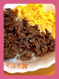 残った合挽きで、そぼろ丼♪-レシピのメイン写真