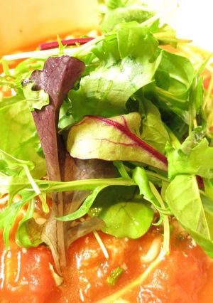 トマト塩ラーメン-レシピのメイン写真