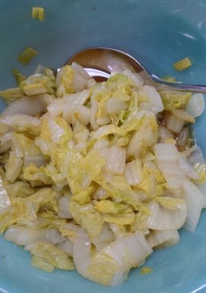 白菜のお浸し-レシピのメイン写真