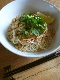 手軽で簡単に*アジア風汁なし麺-レシピのメイン写真