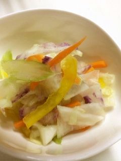 色々野菜の浅漬け-レシピのメイン写真