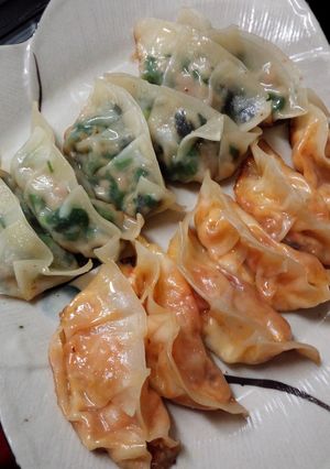 ニラ・ツナ餃子-レシピのメイン写真