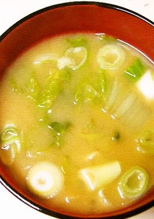 白菜のお味噌汁-レシピのメイン写真