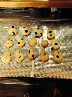 簡単!クランベリーのクッキー-レシピのメイン写真