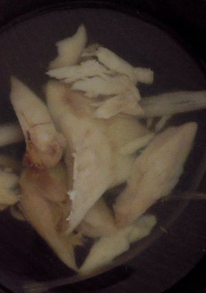 カワハギのお澄まし-レシピのメイン写真