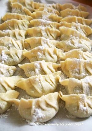皮から手作り♪ 自家製餃子-レシピのメイン写真