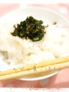 超簡単♥︎カブの葉ごはん。ご飯のお供☻-レシピのメイン写真