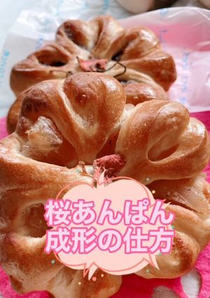桜あんぱん-レシピのメイン写真