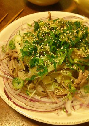 あっさり＆さっぱり！豚肉と葱のポン酢がけ-レシピのメイン写真