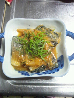 1月19日晩御飯 【サバの味噌煮】-レシピのメイン写真