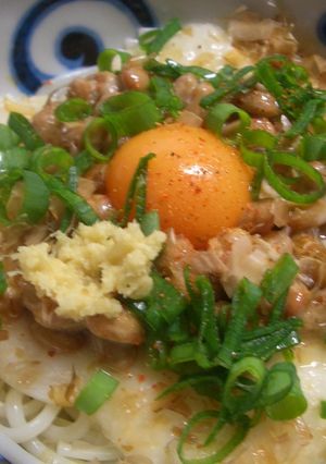 なっとろ玉✿白だしうどん-レシピのメイン写真
