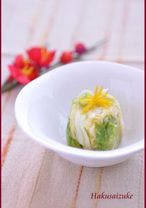 白菜づけ-レシピのメイン写真