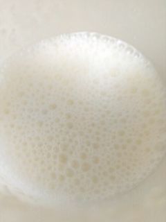 酒粕でシュワシュワ~微炭酸な酵素ジュース-レシピのメイン写真