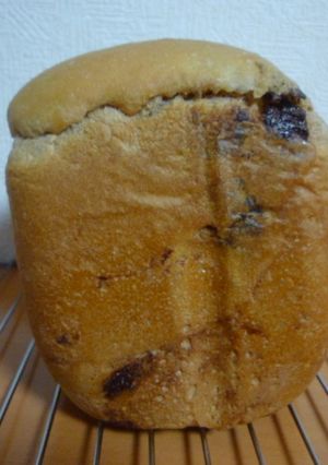 HB♪早焼きチョコチップ食パン プレーン-レシピのメイン写真