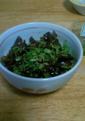 豚肉の蒲焼丼-レシピのメイン写真