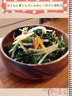 ほうれん草ともやしの麺つゆゴマ油和え♪-レシピのメイン写真
