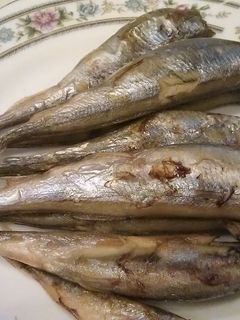 トースターで焼き魚 in上海-レシピのメイン写真