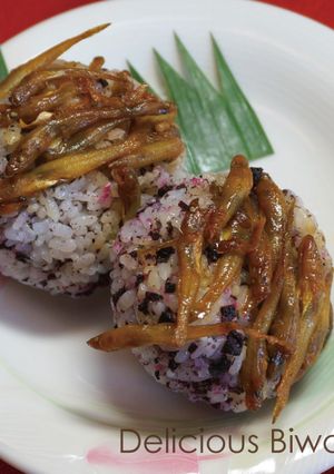 イサザの佃煮おにぎり-レシピのメイン写真