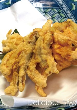 イサザの天ぷら-レシピのメイン写真