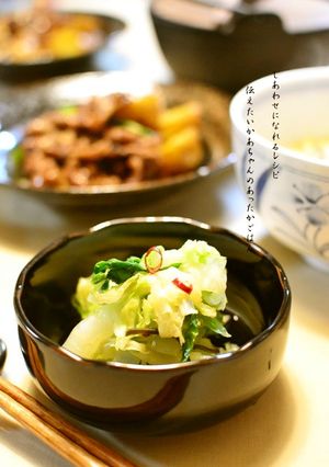 大量消費に白菜の甘酢漬け【作りおき】-レシピのメイン写真