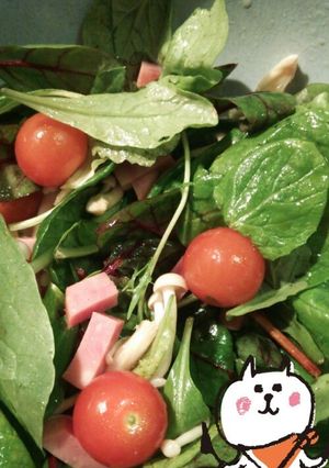 ☆めん汁 DE ｻﾗﾀﾞﾄﾞﾚｯｼﾝｸ☆-レシピのメイン写真