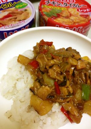 いなばのタイカレー缶アレンジカレー♥-レシピのメイン写真