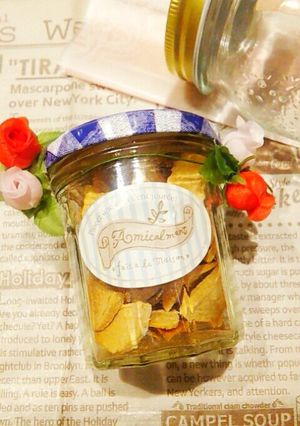 リンゴチップス♪持ち運びできる保存食-レシピのメイン写真