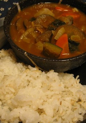 スパイスたっぷり☆スープ風カレー-レシピのメイン写真