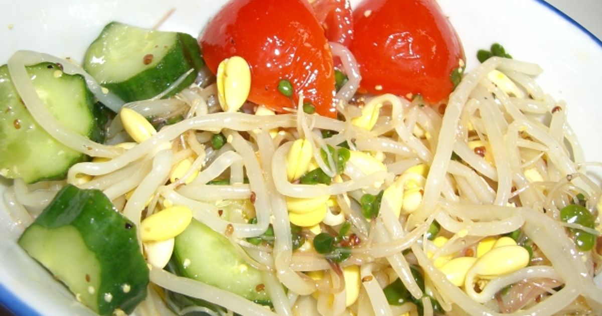 豆もやしŧ‹