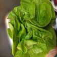 しなった野菜をシャキシャキに蘇らせる!!
