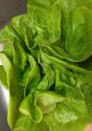 しなった野菜をシャキシャキに蘇らせる!!-レシピのメイン写真
