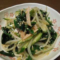 รูปของ もやしとほうれん草の和え物✿