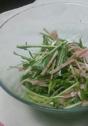 簡単すぎる水菜のサラダ-レシピのメイン写真